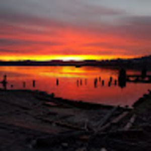 Meet your Posher, Frank